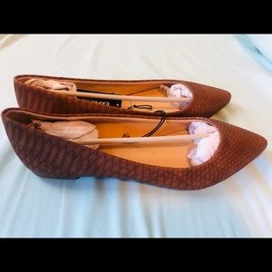 Express Snakeskin Pointed Toe Flats